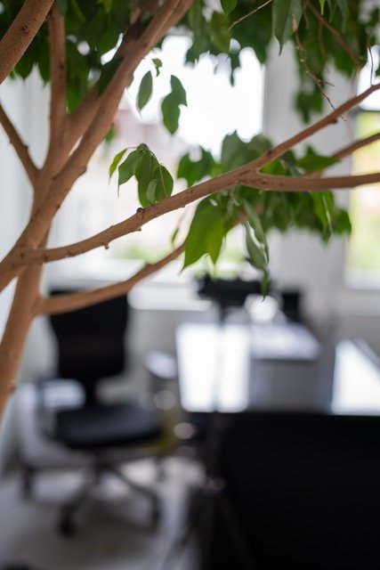 Therapy consultation room at Praxis am Römerhof Zurich